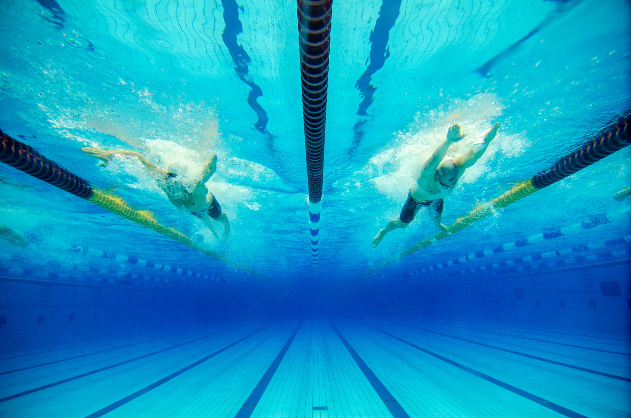 dynamic swimming competition in a blue pool
