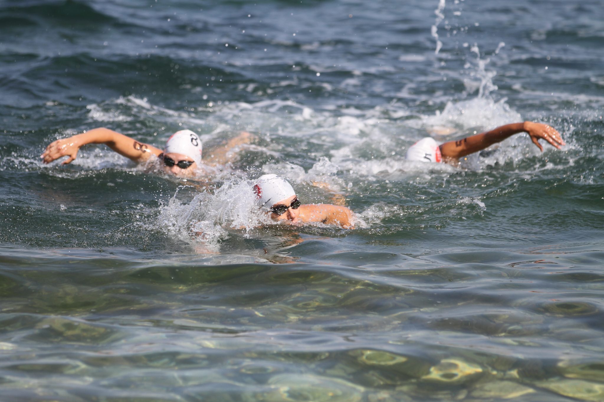 ISTANBUL TURKEY - JULY 30 2017: Athletes competing in swimming component of Istanbul Beylikduzu ETU Triathlon European Cup.
