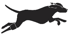 cheshire-y-sea-dogs Cheshire Y Sea Dogs logo