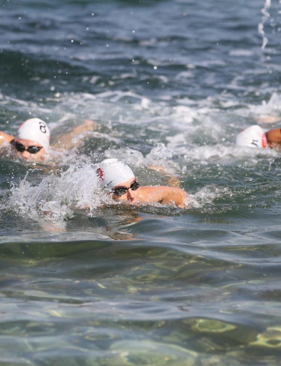 Open-water-swimmers
