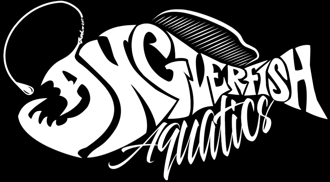 Anglerfish Aquatics logo