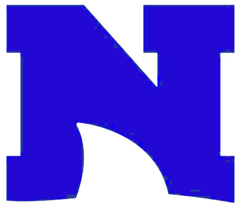 N - blue logo