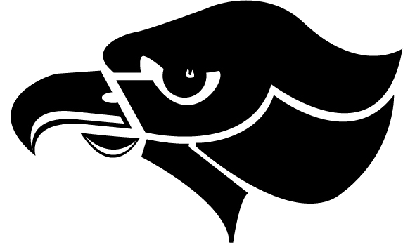 hawks-logo_clipped_rev_1-min Bethel Park Logo