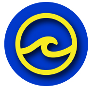 B.R.Ryall YMCA Swim Team logo