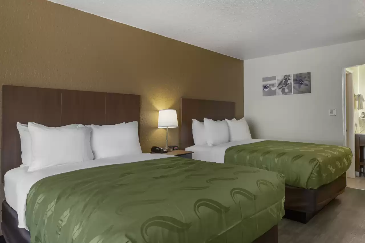 Quality Inn St. Petersburg North
