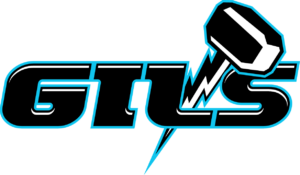 Great Illinois Swimmers – GILS