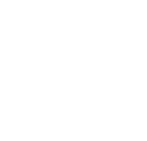 Westerly YMCA Dolphins (WEST-NE)
