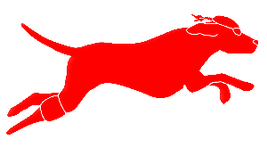 Cheshire YMCA Sea Dog Swim Club