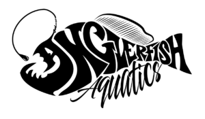 Anglerfish Aquatica