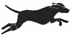 Cheshire YMCA Sea Dogs