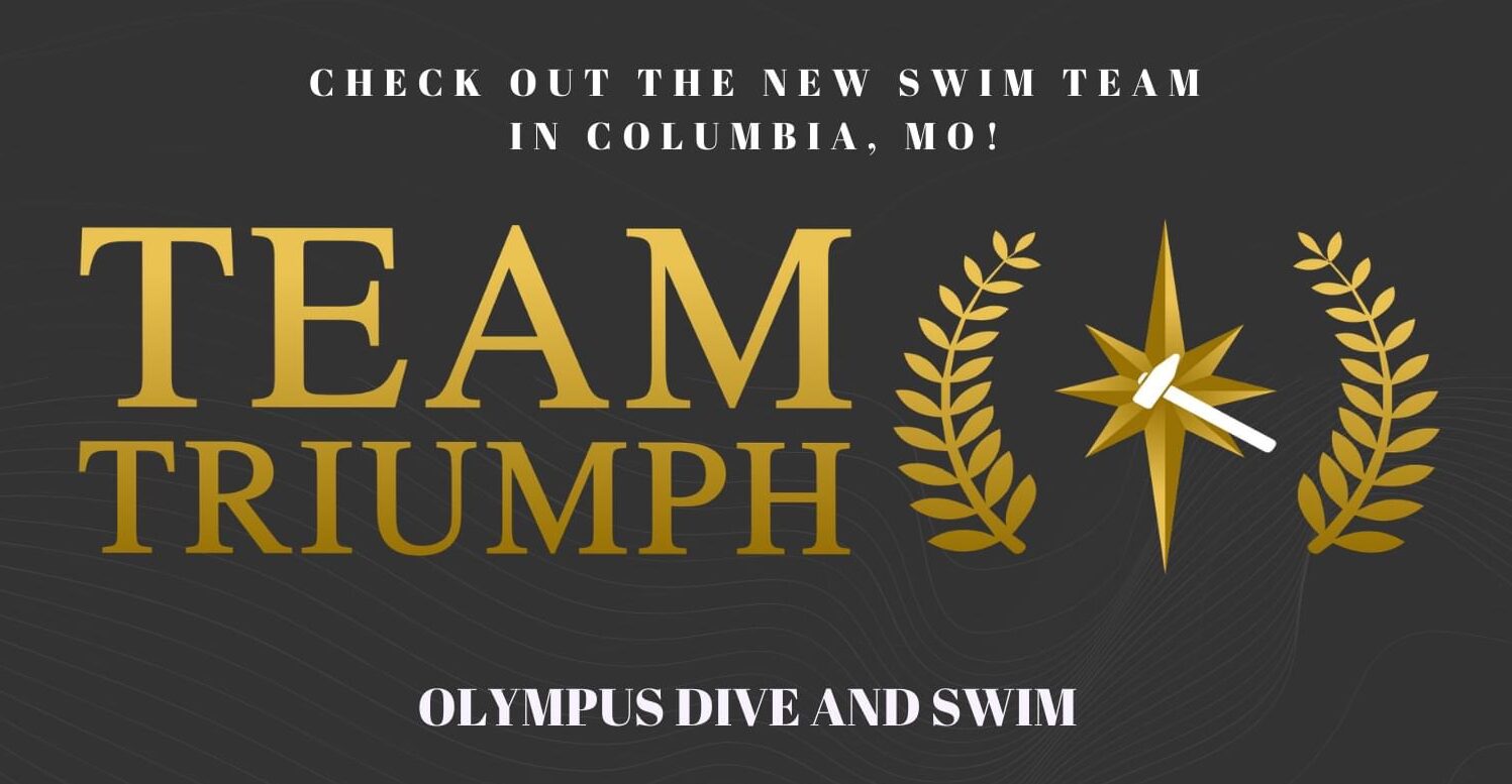 Team Triumph logo