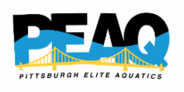 Pittsburgh Elite Aquatics logo smaller