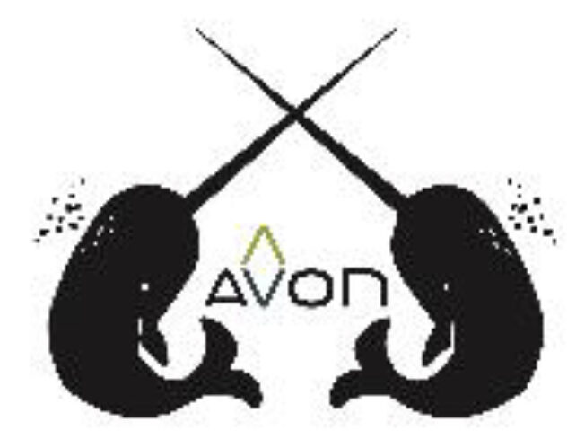 AVON logo