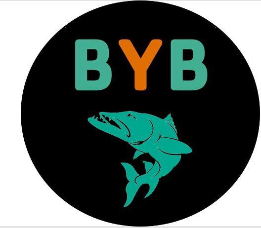 Bangor Y Barracudas logo