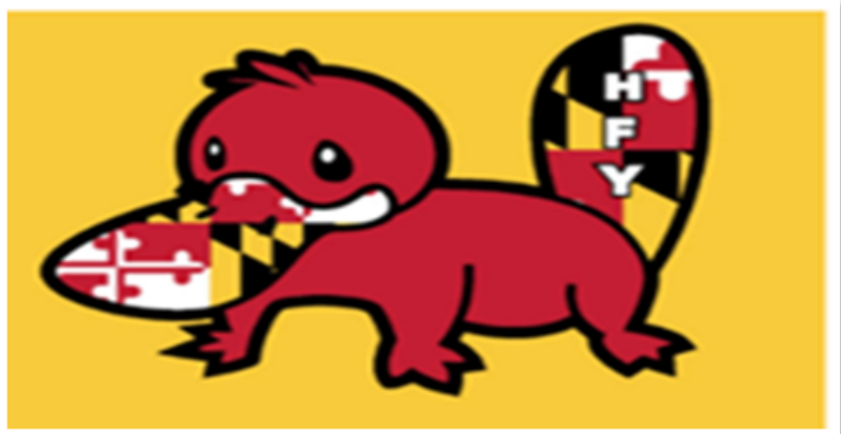Hensen Family YMCA logo with MD colors