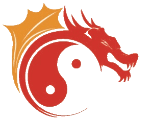 Dragon Swim Team logo