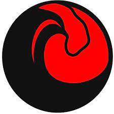 FCFY Riptides logo